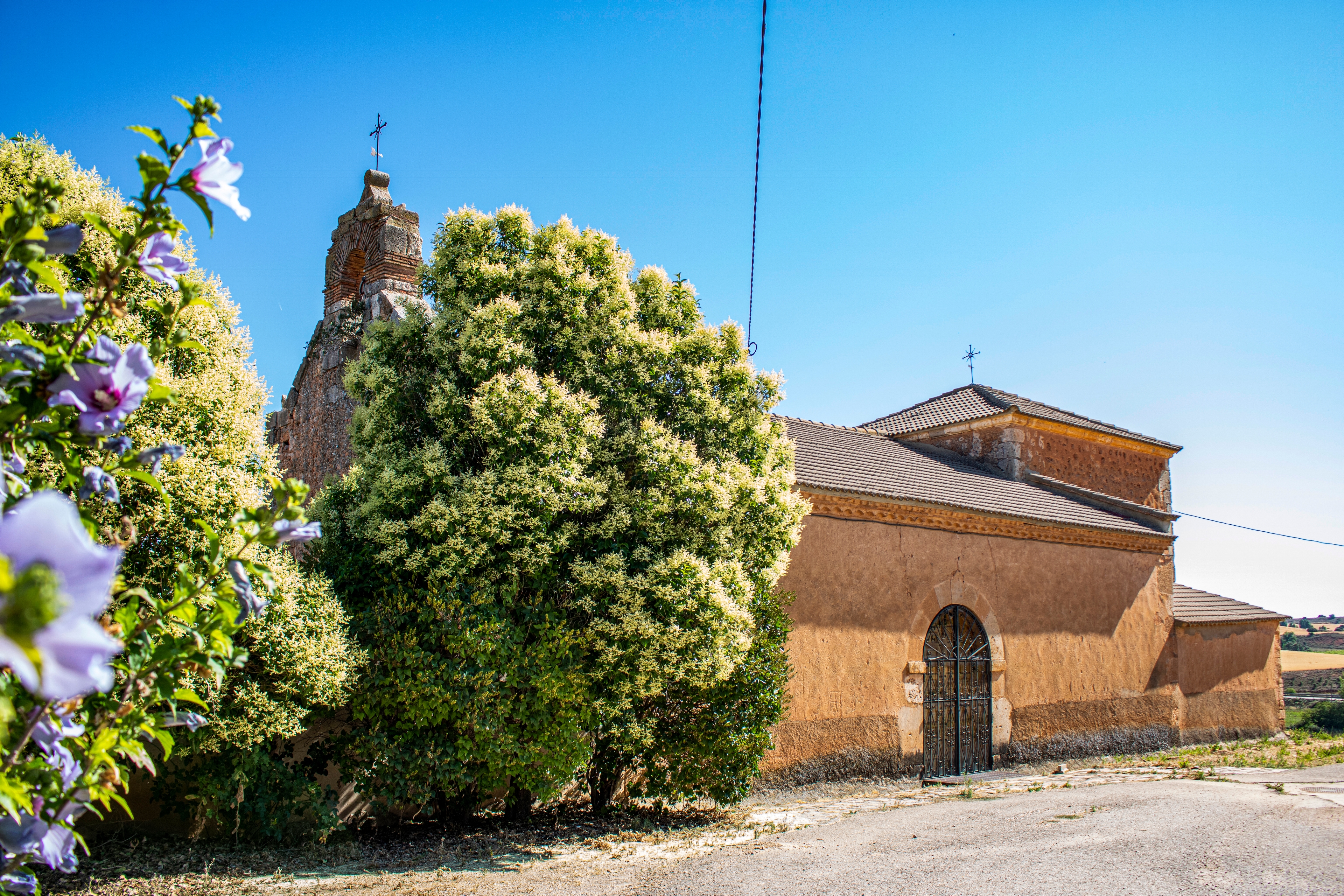 Matanza de Soria