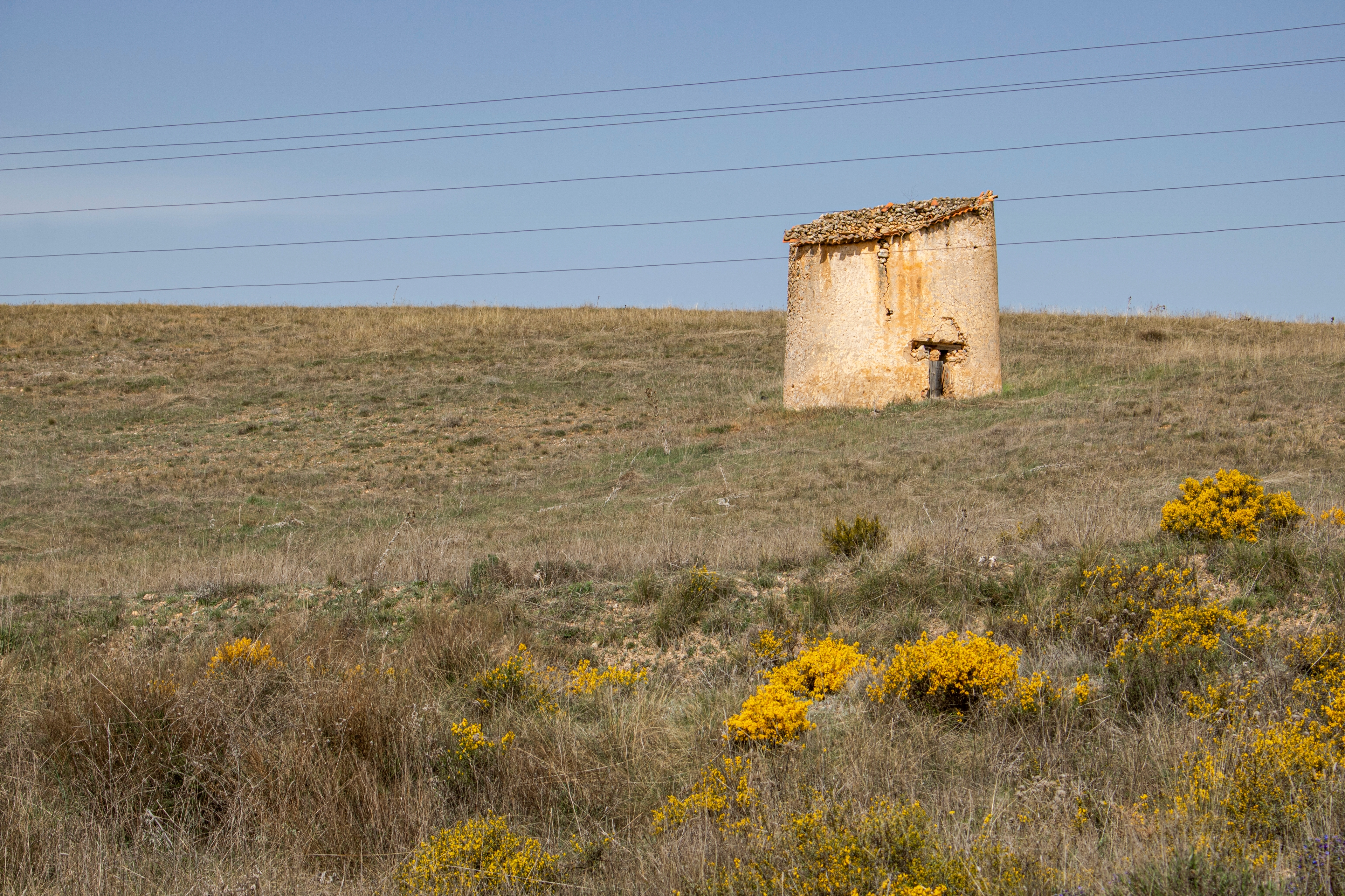 Pedraja de San Esteban