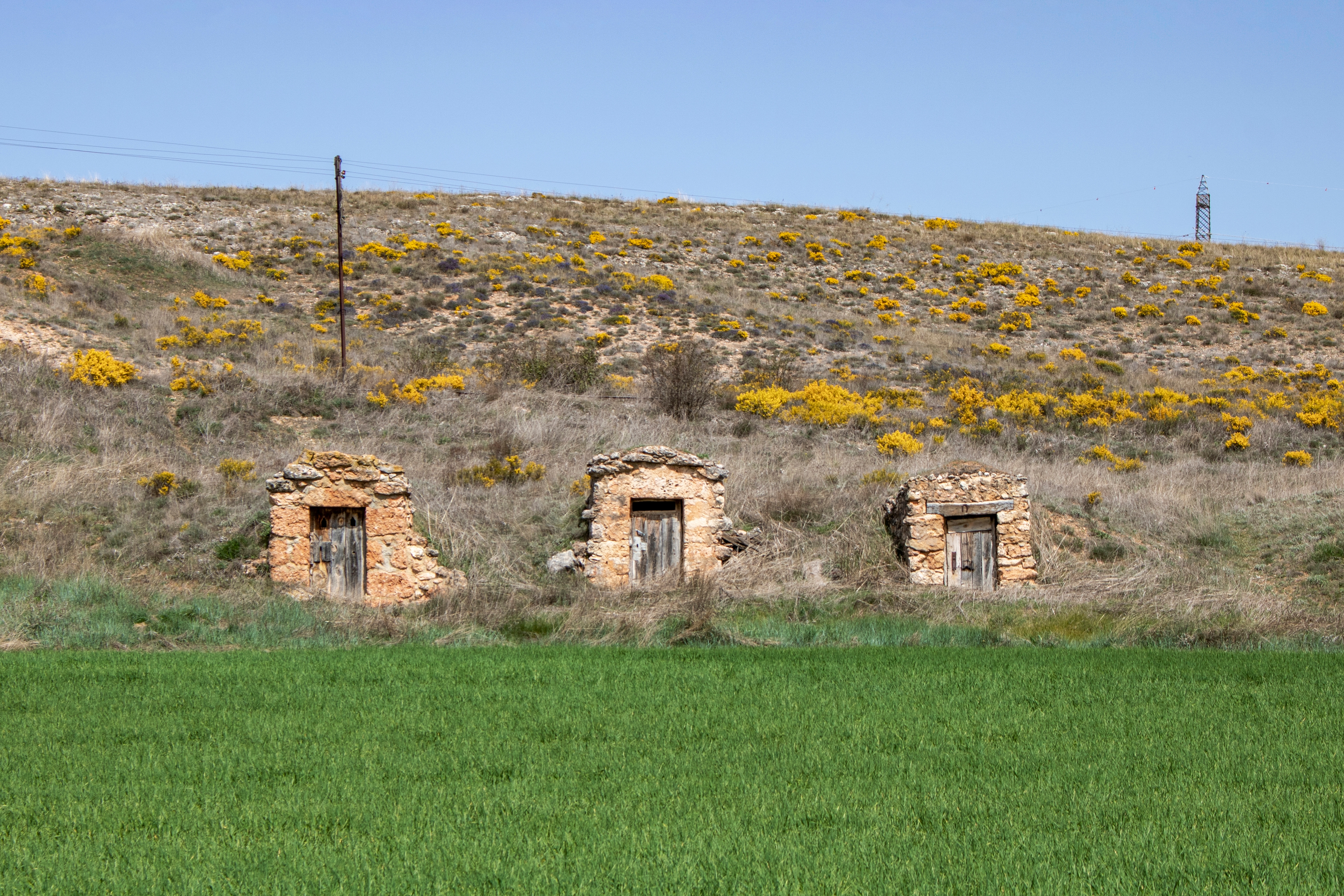 Pedraja de San Esteban
