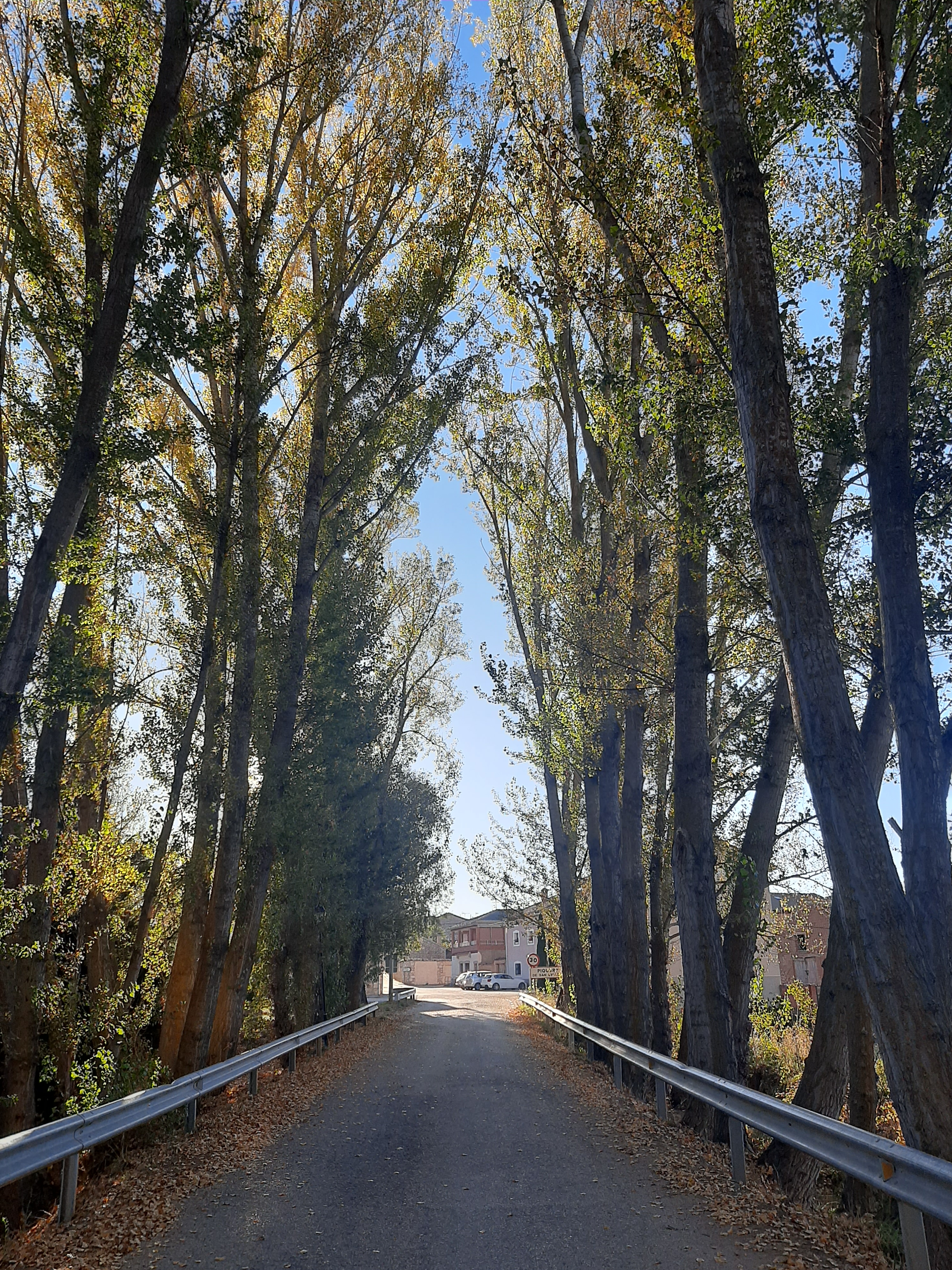 Piquera de San Esteban