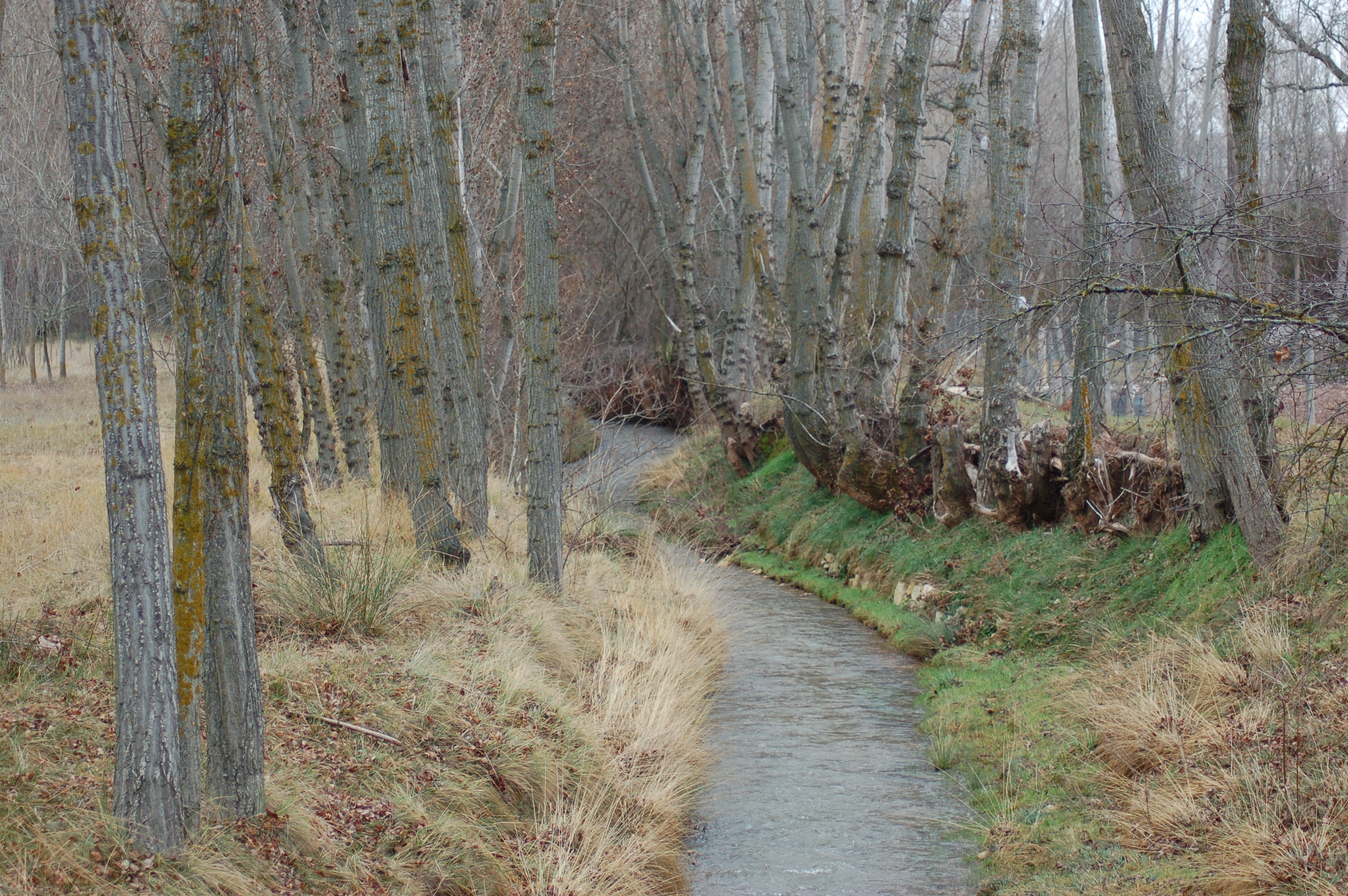 Piquera de San Esteban