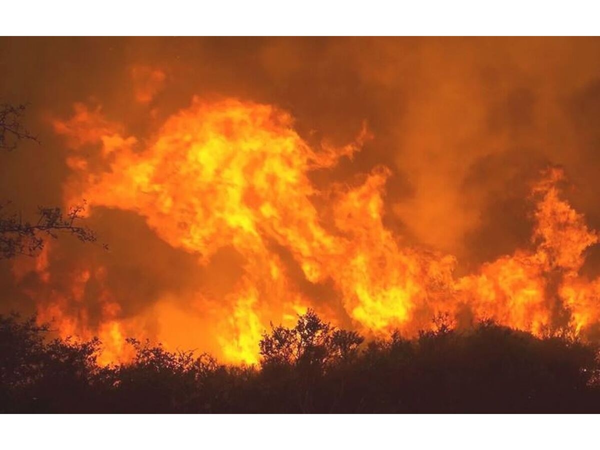 Alerta de incendios forestales