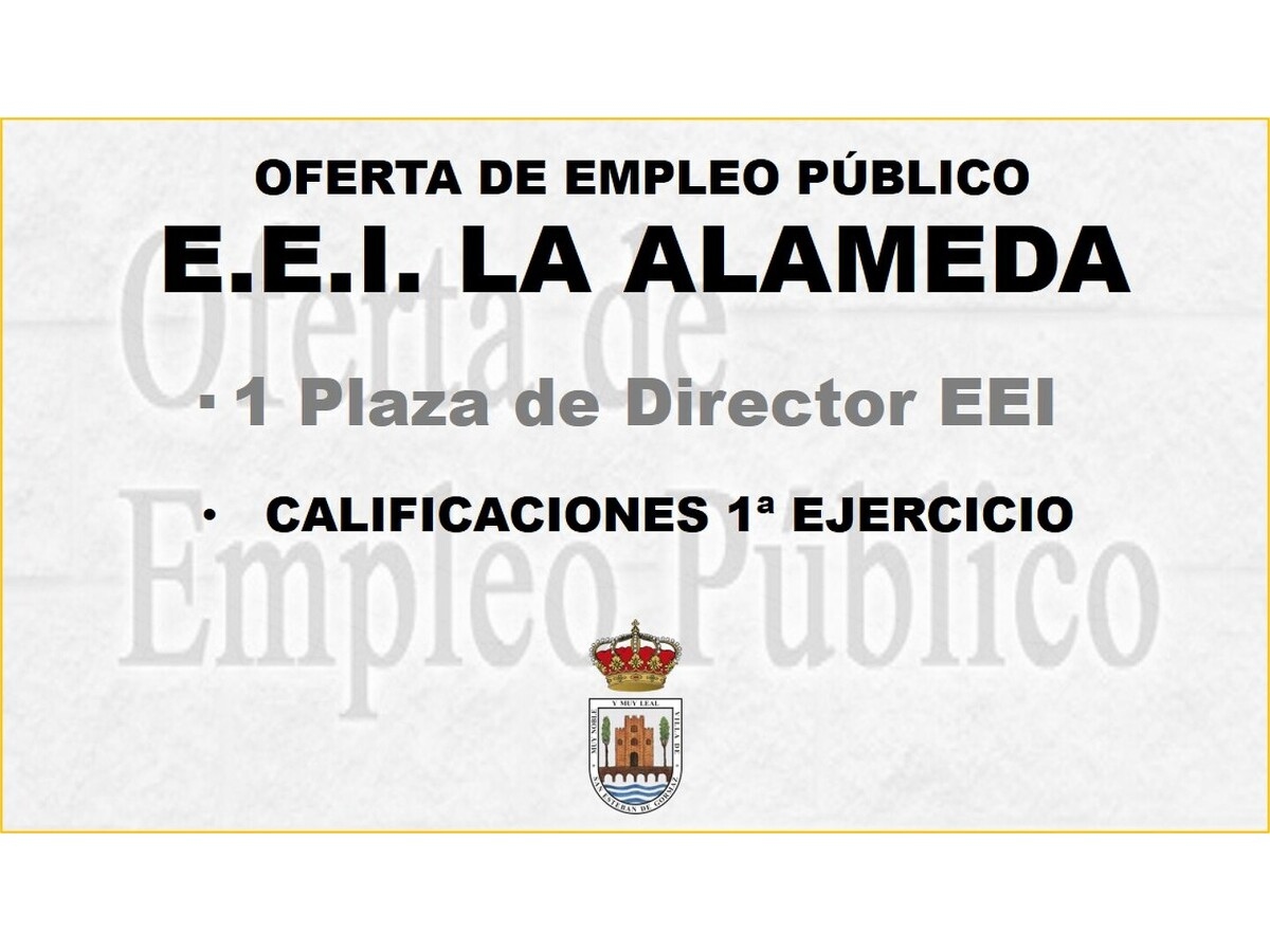 Director/a de EEI: Resultados del primer ejercicio