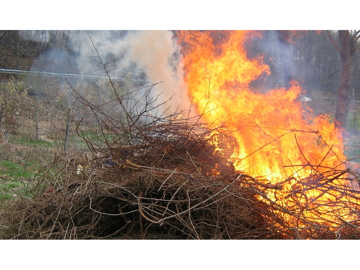 Voladuras A11 - Imagen 2