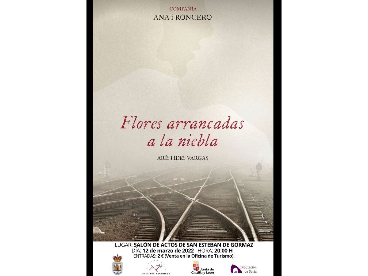 8 de marzo: Día internacional de la mujer - Imagen 3