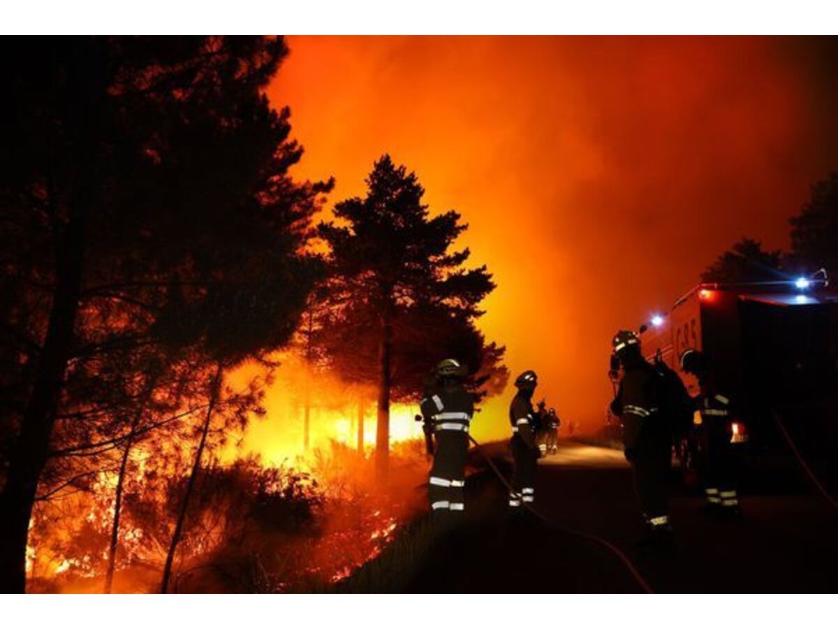 Alerta por riesgo de incendios forestales - Imagen 2