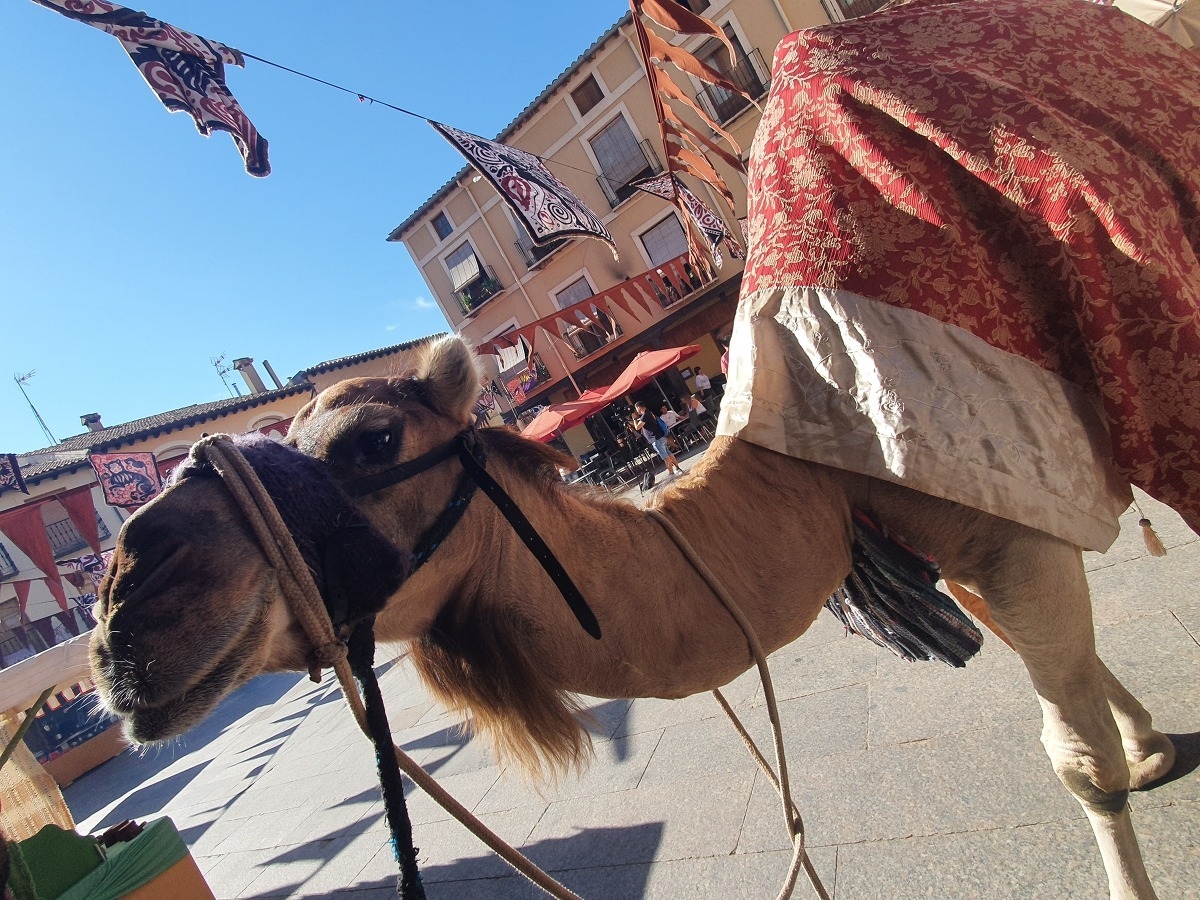 Mercado Medieval: abierto el plazo de inscripción.