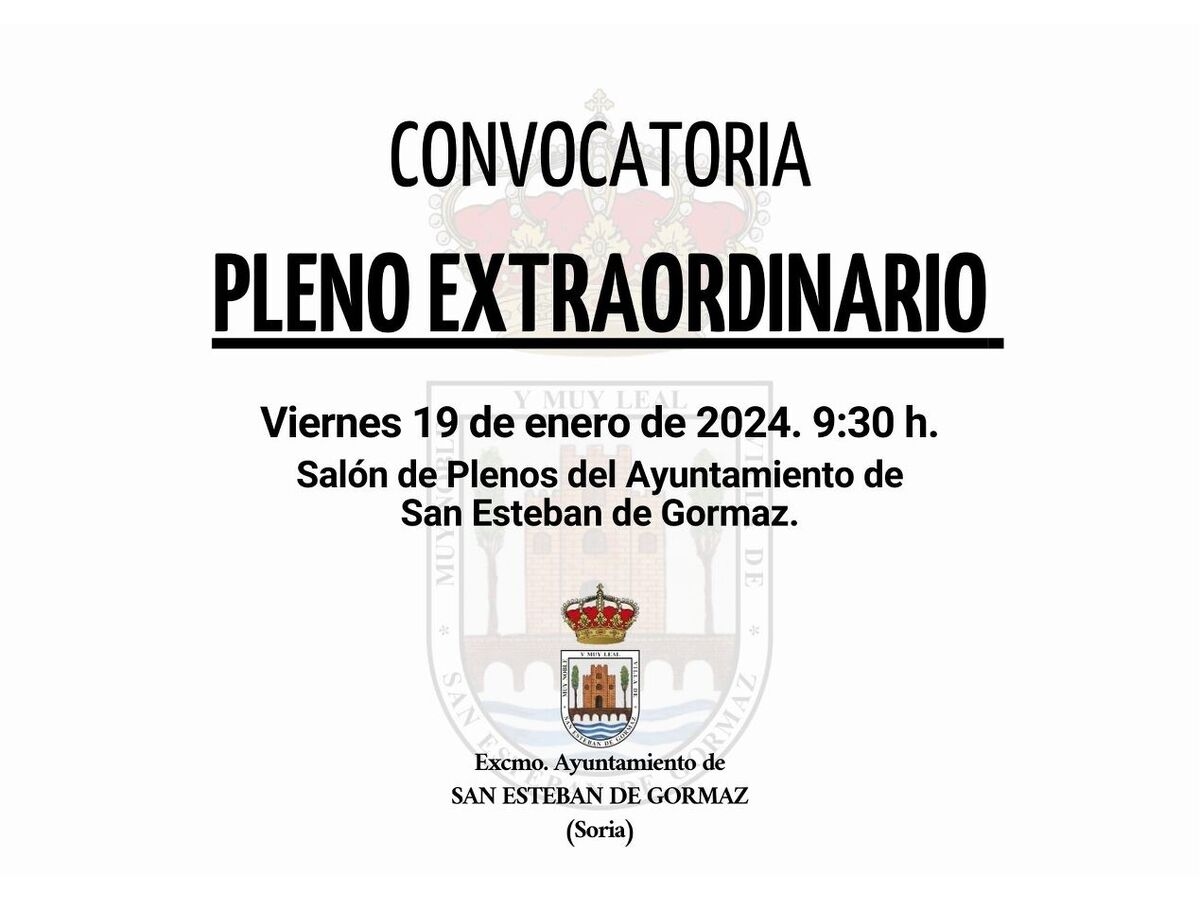 Pleno extraordinario: 19 de enero