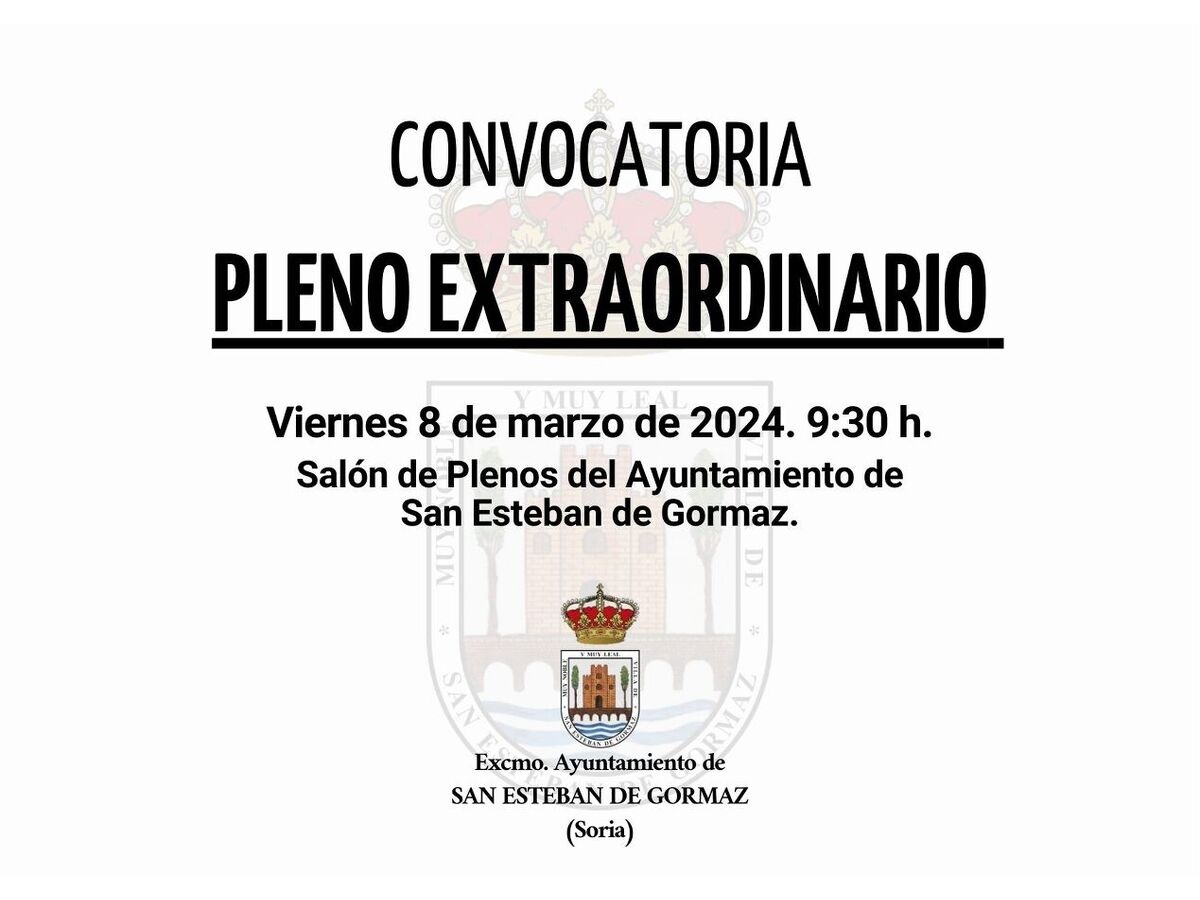 Pleno extraordinario: 8 de marzo