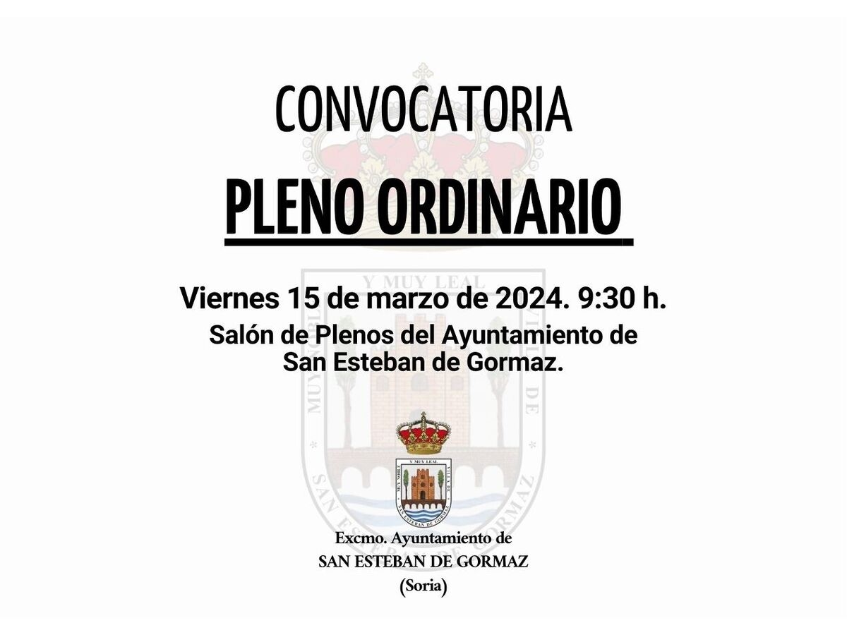 Pleno ordinario: 15 de marzo