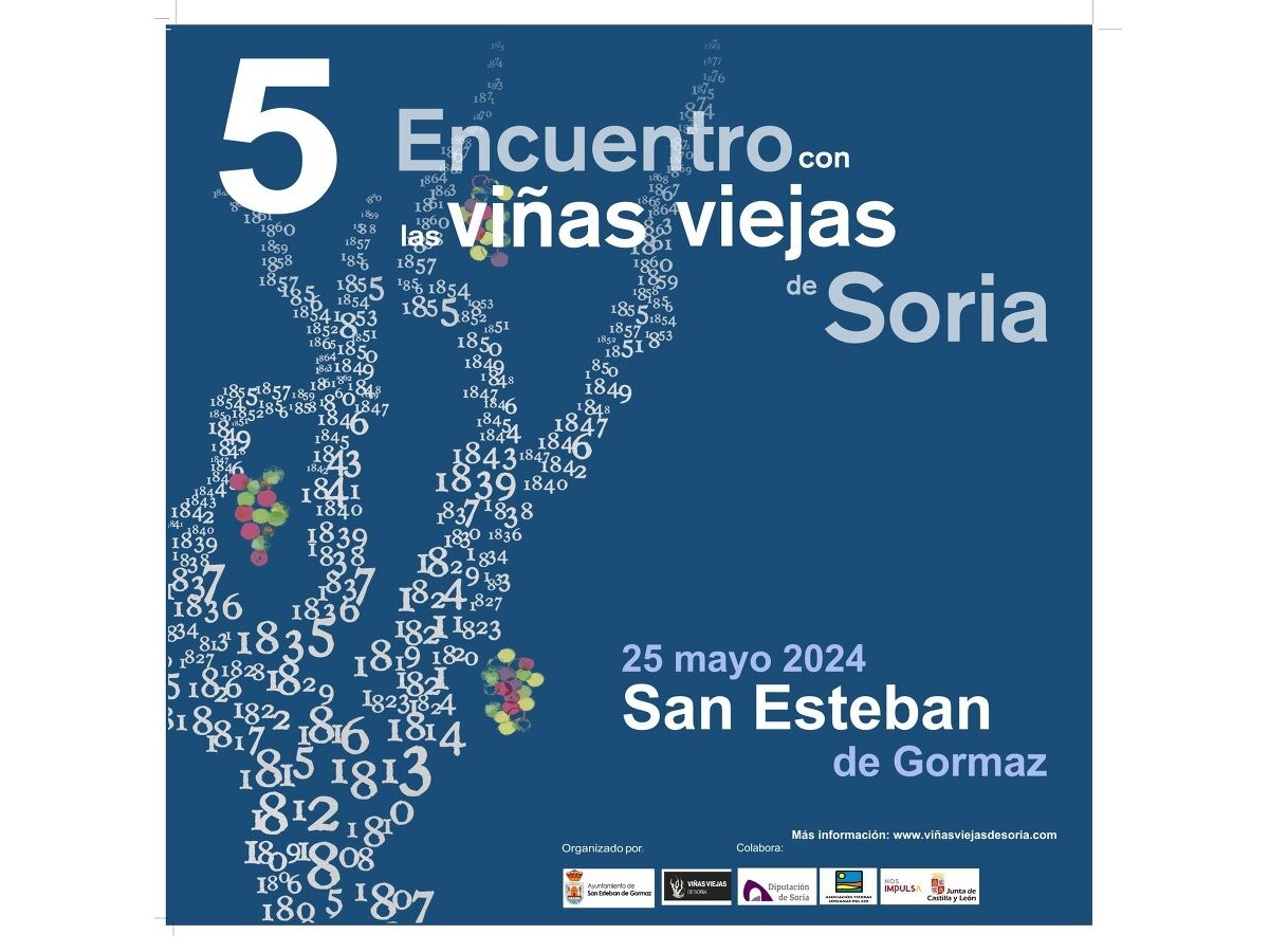 Quinto encuentro con las Viñas Viejas de Soria