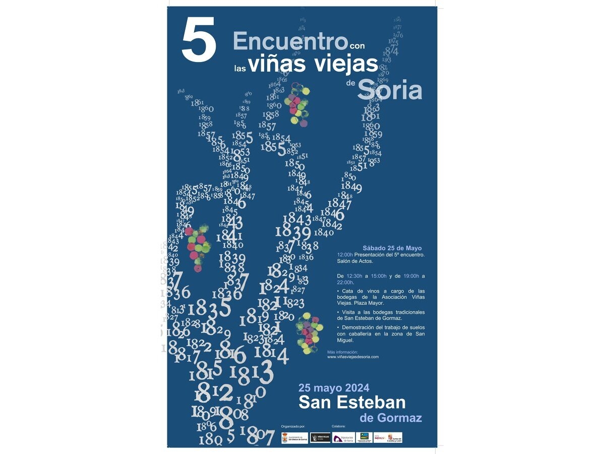Quinto encuentro con las Viñas Viejas de Soria - Imagen 2