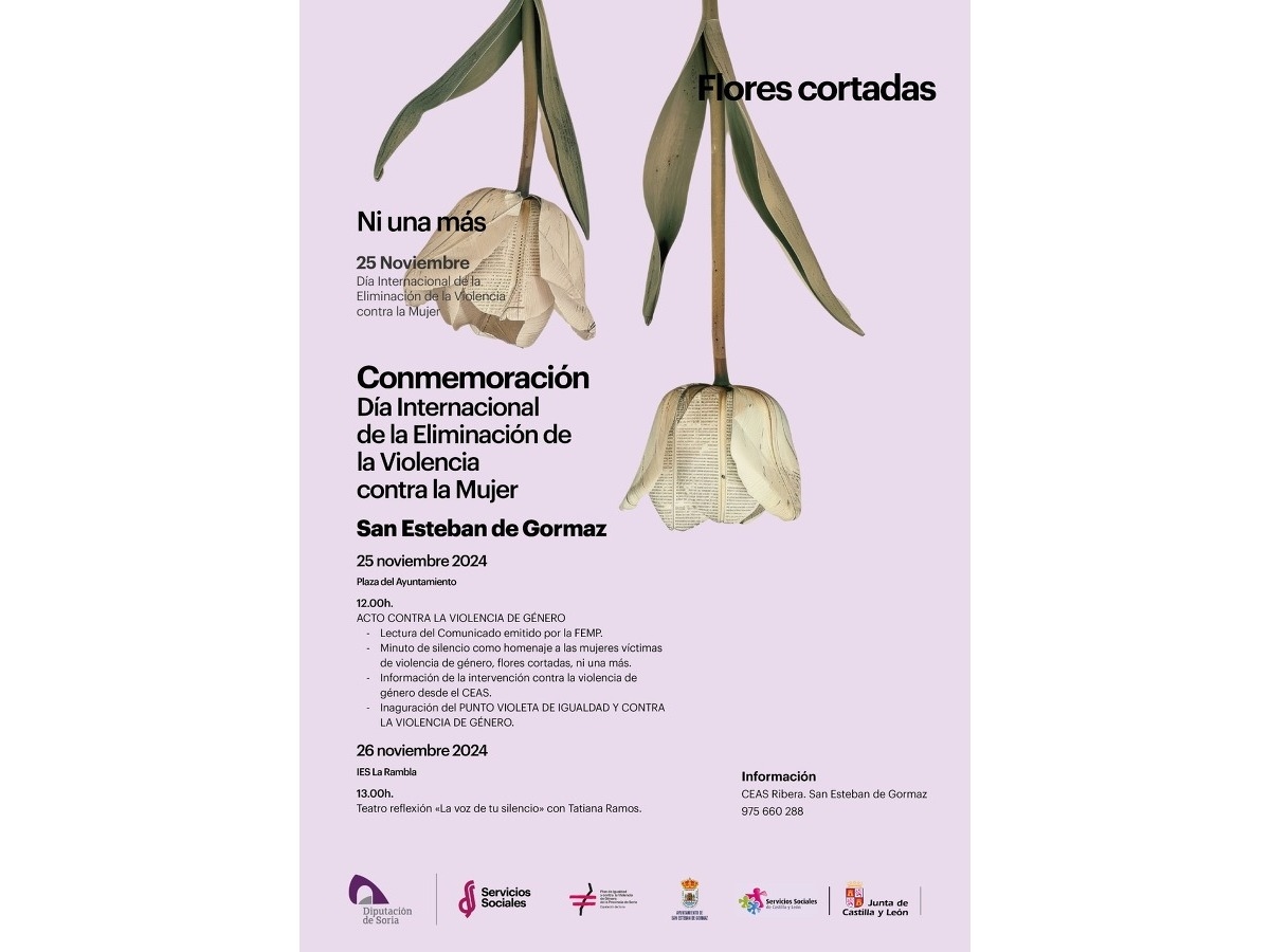 25N - Día contra la violencia de género