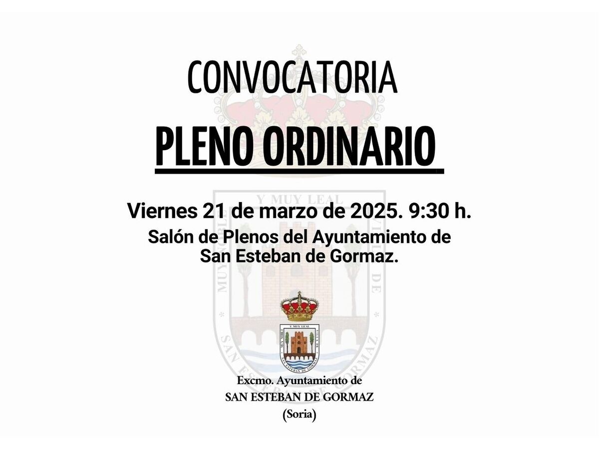 Pleno Ordinario: 21 de marzo de 2025