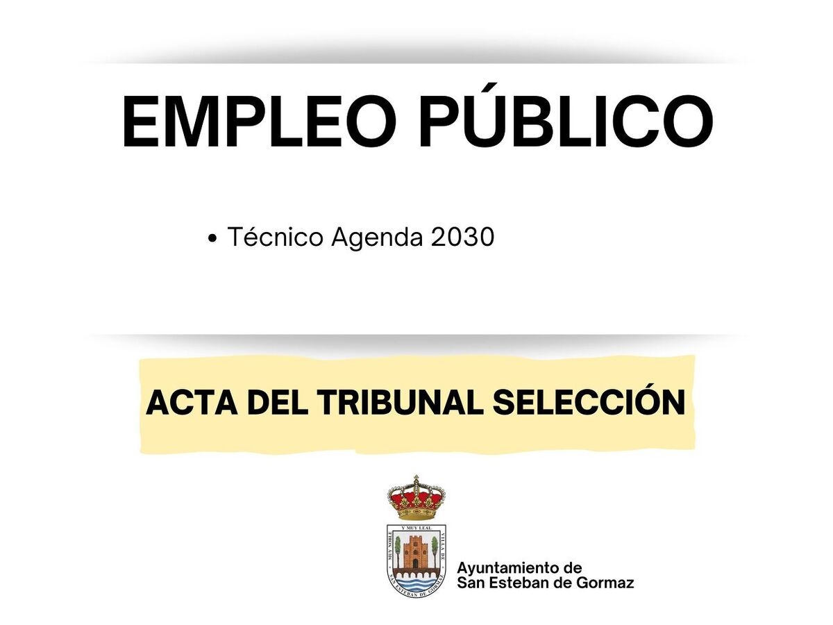 Técnico Agenda 2030: acta del tribunal de selección