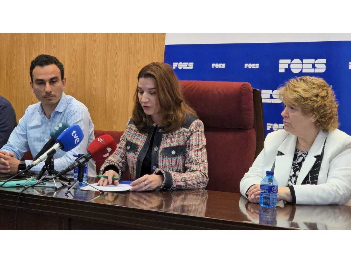 FOES y empresas: recomponer la economía de la comarca - Imagen 3