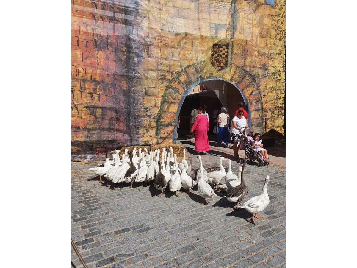 XXV Mercado Medieval