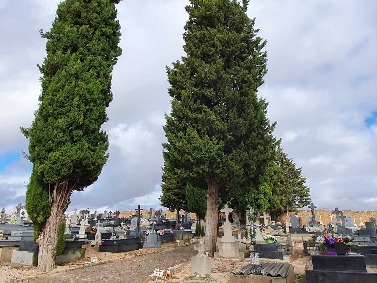 Velatorios y entierros: aforos