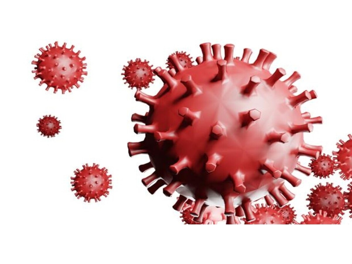 CRIBADO SELECTIVO COVID-19