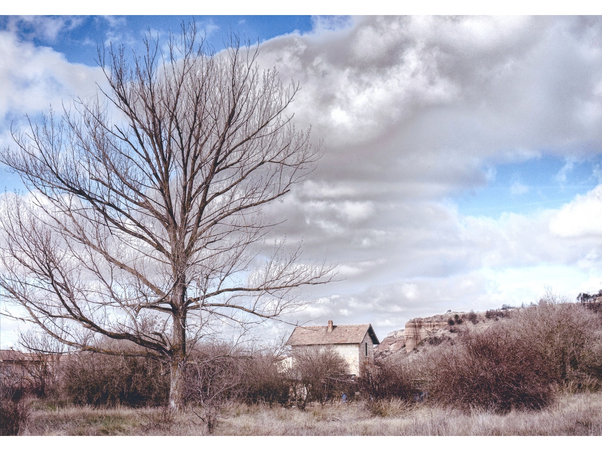 Concurso Fotográfico: ganadores - Imagen 4