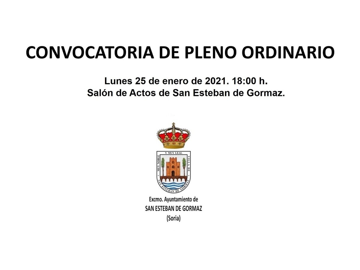 Primer Pleno Ordinario de 2021