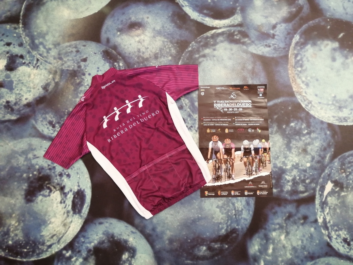 Presentación de la V Vuelta Ciclista Junior a la Ribera del Duero - Imagen 4