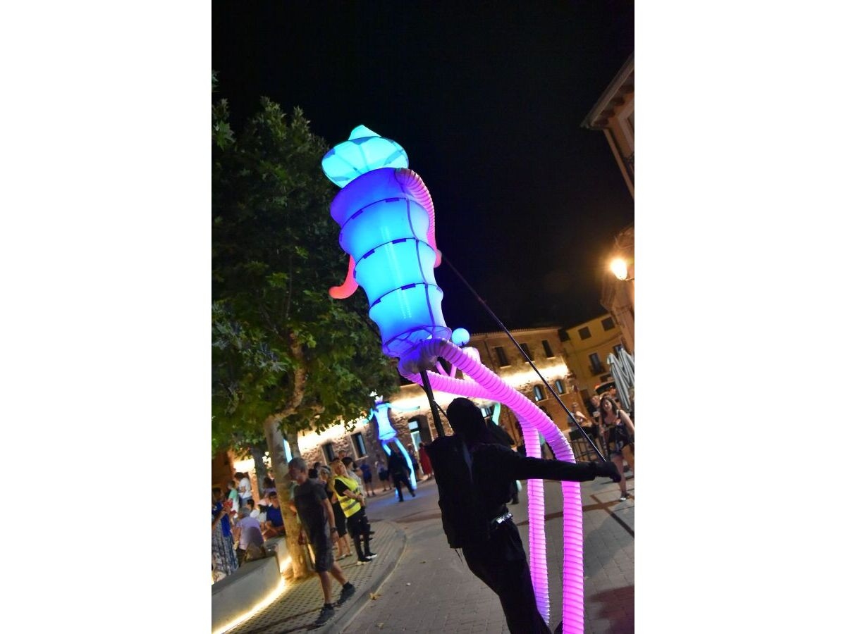 40 años Ribera del Duero: galería fotográfica - Imagen 32