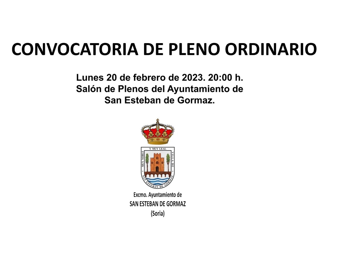 Pleno Ordinario: 20 de febrero