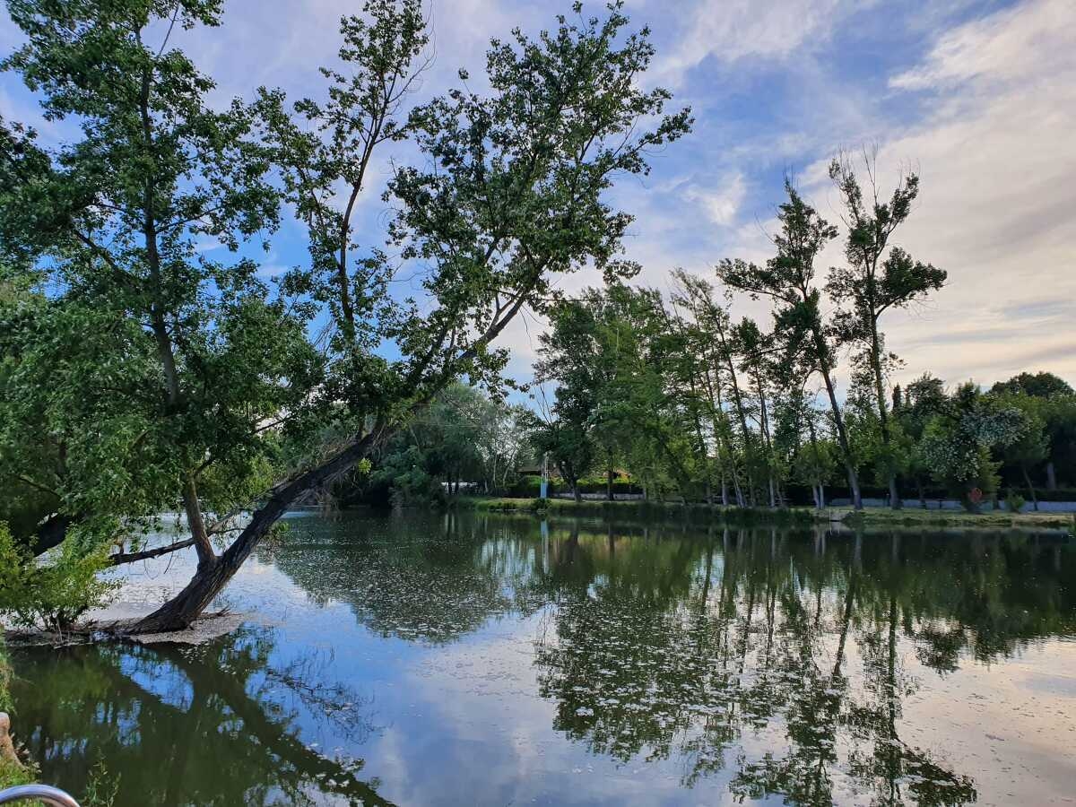 Zona de Baño Alameda y La Rambla
