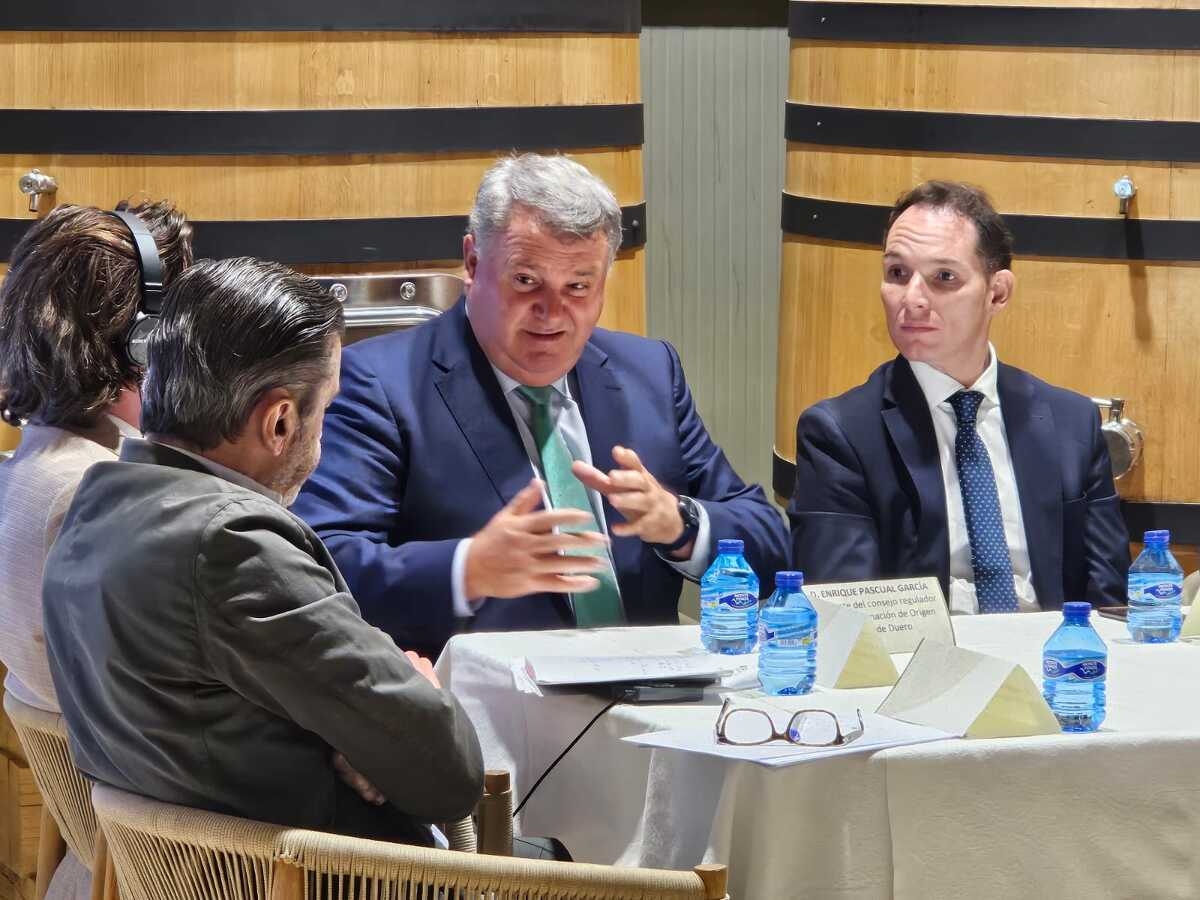 La OCDE desarrolla un grupo de trabajo en San Esteban - Imagen 4