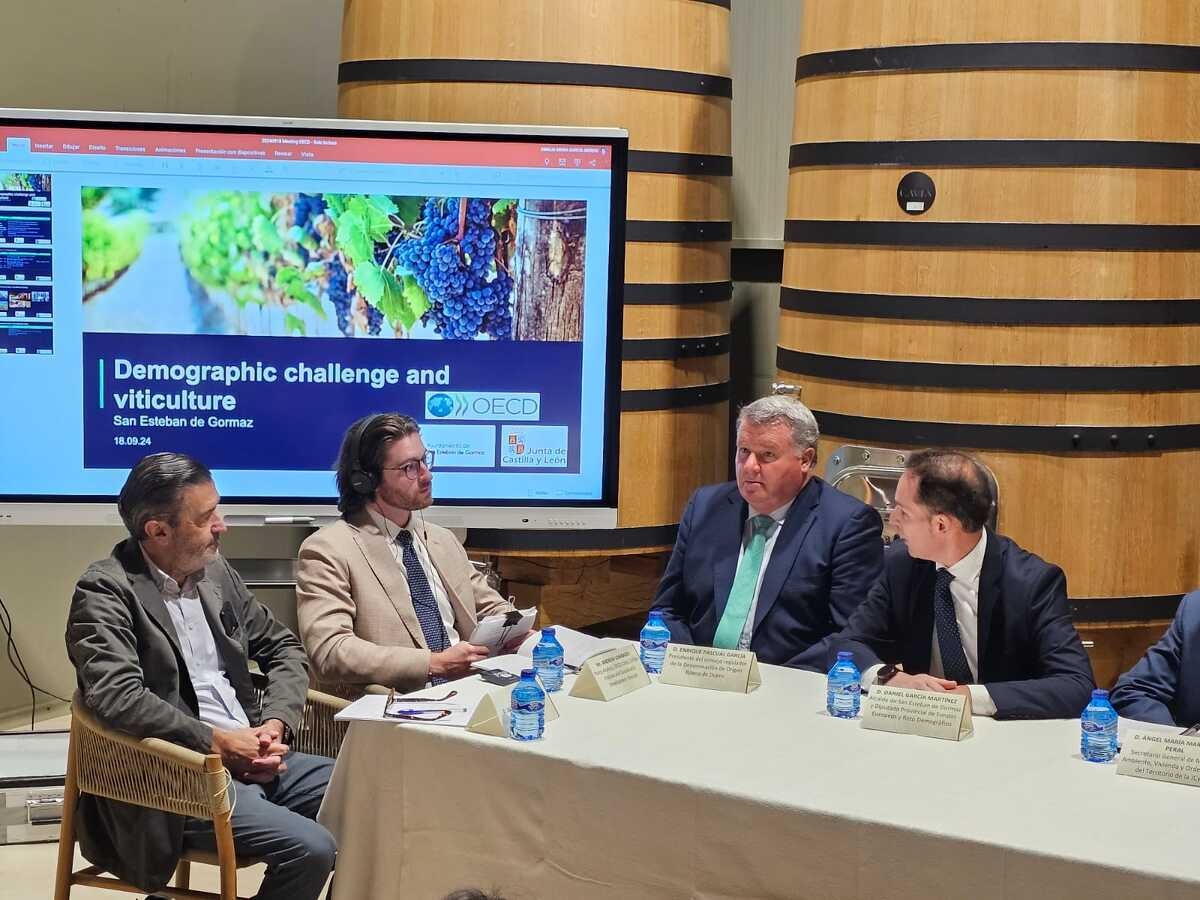 La OCDE desarrolla un grupo de trabajo en San Esteban - Imagen 5