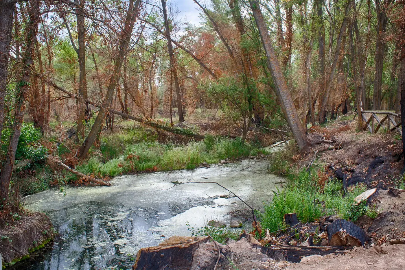 San Esteban de Gormaz Landscape