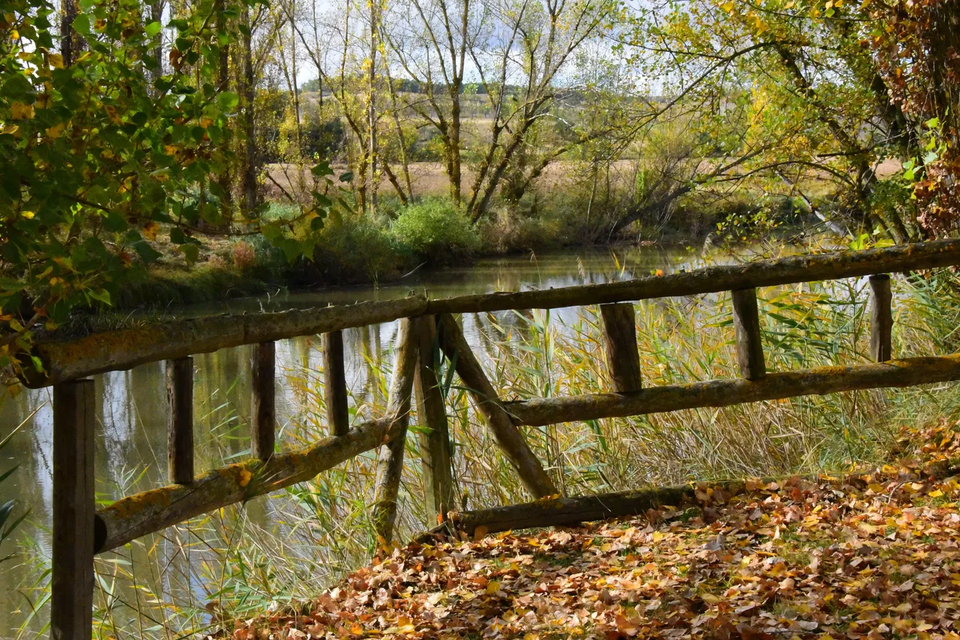 Otoño